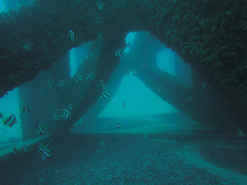 An artificial reef similar to this one in the Moreton Bay Marine Park may be installed in Hervey Bay. An artificial reef similar to this one in the Moreton Bay Marine Park may be installed in Hervey Bay.